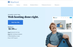 Nexym's review of Bluehost web hosting services.