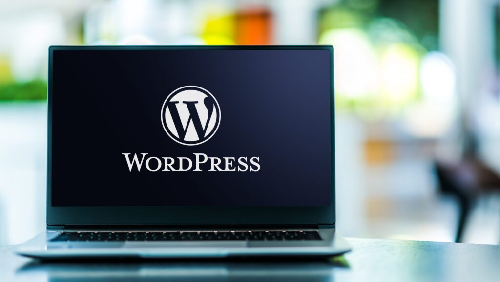 With the rise of WordPress and its popularity, there are countless themes available for anyone to use. But what makes a good WordPress theme? Well we’ve got it covered in this roundup for you.