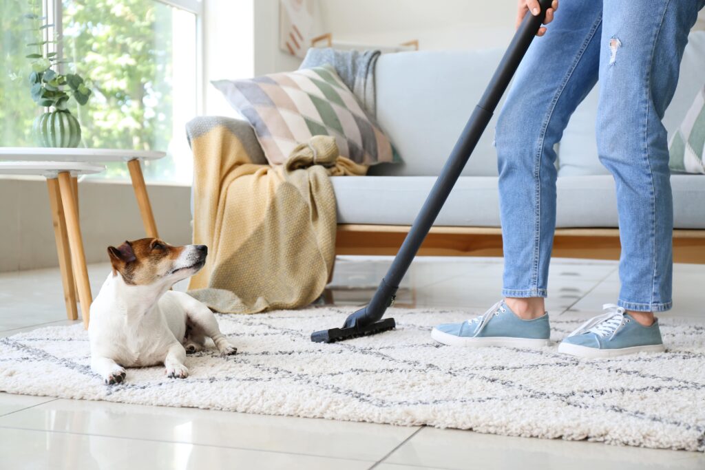 Looking for the best vacuum for pet hair? Look no further! We've compiled a list of the top vacuums for removing pet hair from your home.