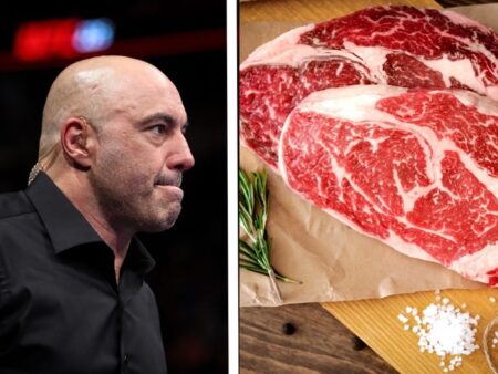 Joe Rogan, comedian and host of the Joe Rogan Experience, has decided to try the carnivore diet. But, is the carnivore diet healthy?